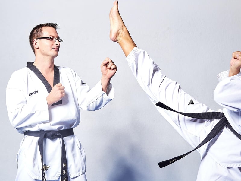 Taekwondo Kicks