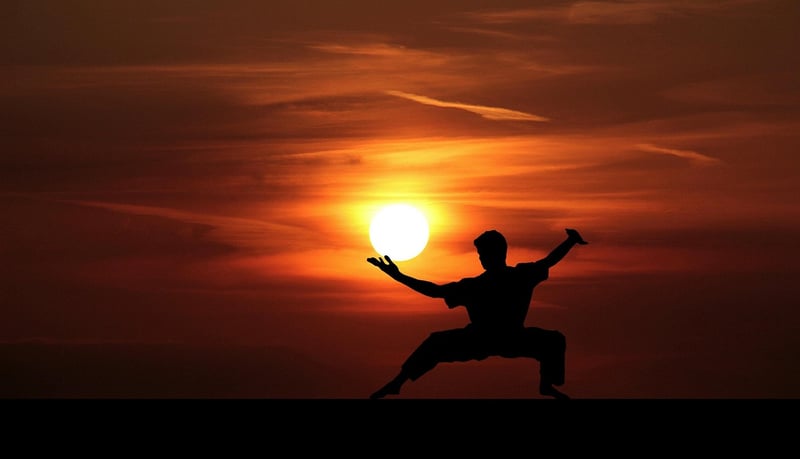 Tai Chi Martial Art